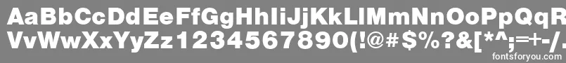 VantaBlackPlain.001.001 Font – White Fonts on Gray Background