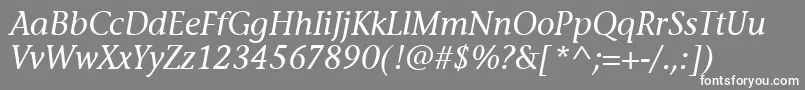 StoneInfItcTtMediumitalic Font – White Fonts on Gray Background
