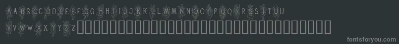 RenaissanceScrolls-Schriftart – Graue Schriften auf schwarzem Hintergrund
