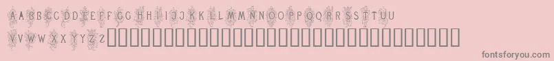 RenaissanceScrolls-Schriftart – Graue Schriften auf rosa Hintergrund