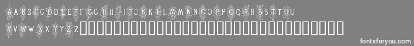 フォントRenaissanceScrolls – 灰色の背景に白い文字