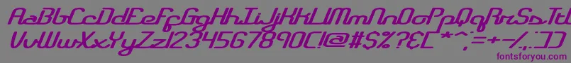 RegistryBrk Font – Purple Fonts on Gray Background