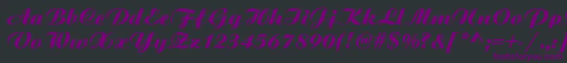 fuente Scripbit – Fuentes Moradas Sobre Fondo Negro