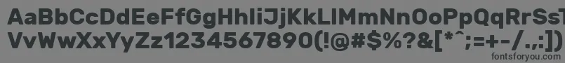 RubikBold Font – Black Fonts on Gray Background