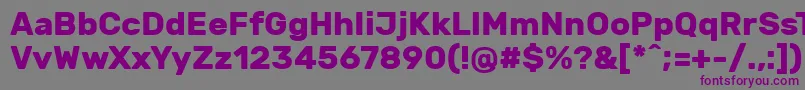 RubikBold Font – Purple Fonts on Gray Background