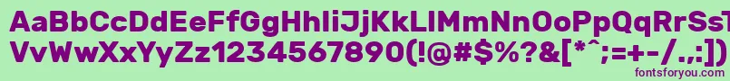 RubikBold Font – Purple Fonts on Green Background
