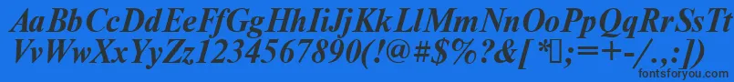 Times.KzBoldItalic Font – Black Fonts on Blue Background