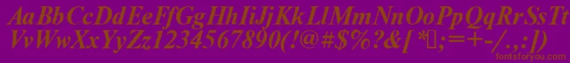 Times.KzBoldItalic Font – Brown Fonts on Purple Background
