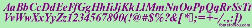 Times.KzBoldItalic Font – Purple Fonts on Green Background