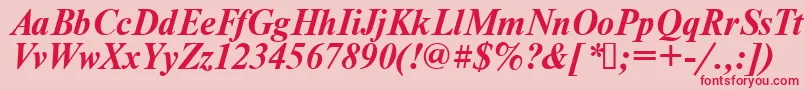 Times.KzBoldItalic Font – Red Fonts on Pink Background