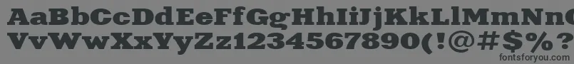 Aardvark115n Font – Black Fonts on Gray Background