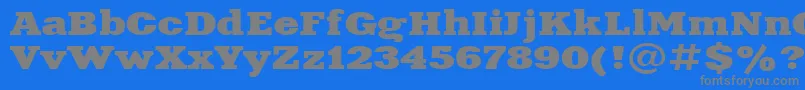 Aardvark115n Font – Gray Fonts on Blue Background