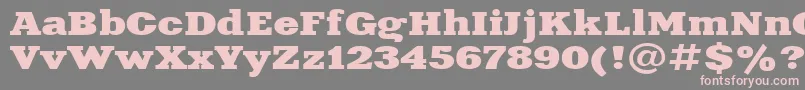 Aardvark115n Font – Pink Fonts on Gray Background