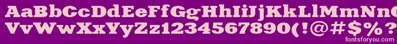 Aardvark115n Font – Pink Fonts on Purple Background