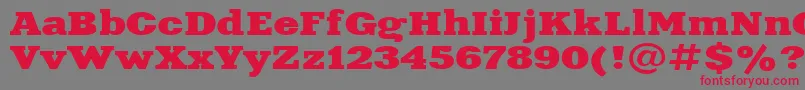 Aardvark115n-fontti – punaiset fontit harmaalla taustalla