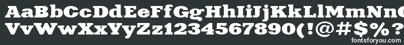 Aardvark115n Font – White Fonts on Black Background