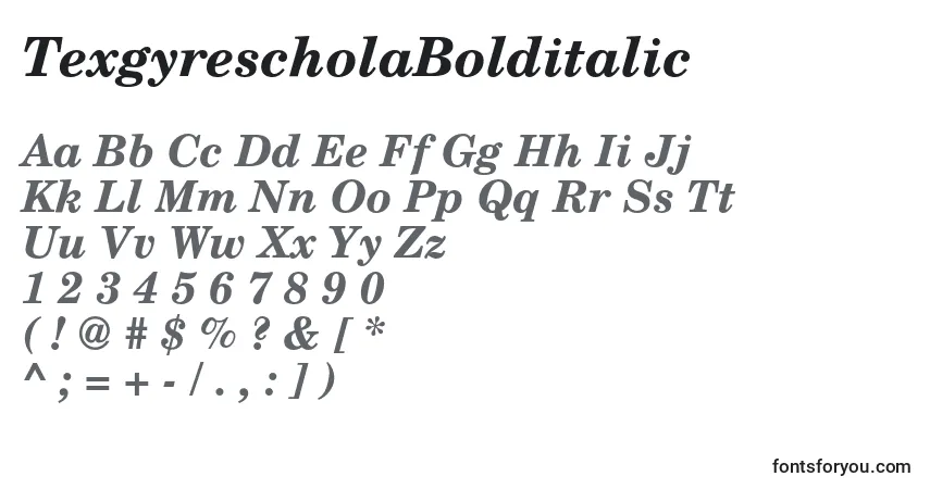 Czcionka TexgyrescholaBolditalic – alfabet, cyfry, specjalne znaki