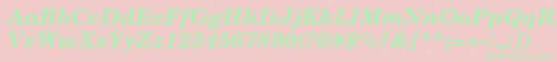 TexgyrescholaBolditalic Font – Green Fonts on Pink Background