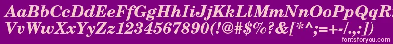 TexgyrescholaBolditalic Font – Pink Fonts on Purple Background