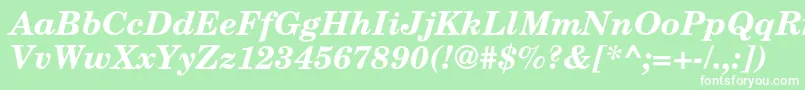 TexgyrescholaBolditalic Font – White Fonts on Green Background