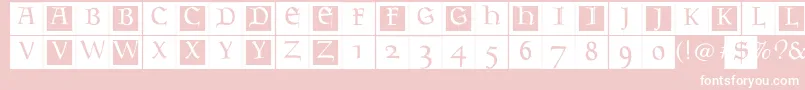 Goudamentbricks Font – White Fonts on Pink Background