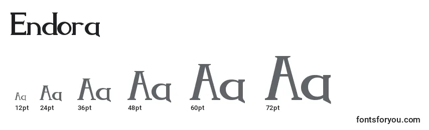 Размеры шрифта Endora (115957)