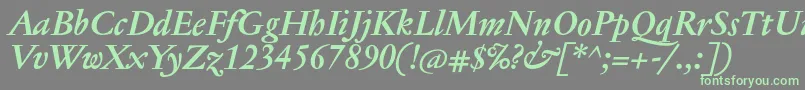 JannontextmedBolditalic Font – Green Fonts on Gray Background