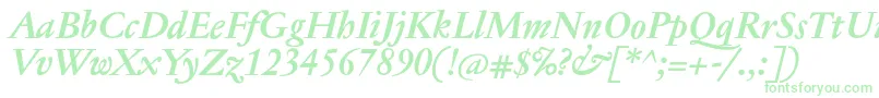 JannontextmedBolditalic Font – Green Fonts