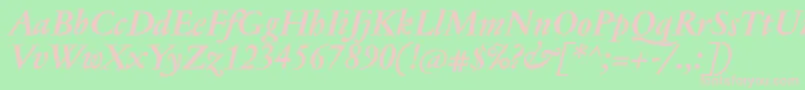 JannontextmedBolditalic Font – Pink Fonts on Green Background