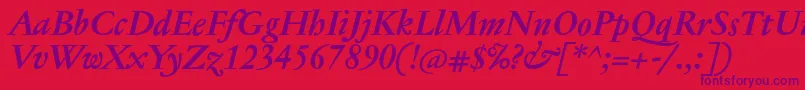 JannontextmedBolditalic Font – Purple Fonts on Red Background