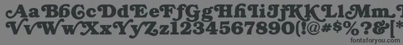 SwashNormal Font – Black Fonts on Gray Background