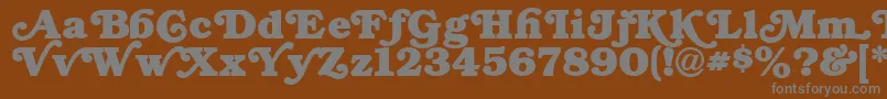 SwashNormal-fontti – harmaat kirjasimet ruskealla taustalla