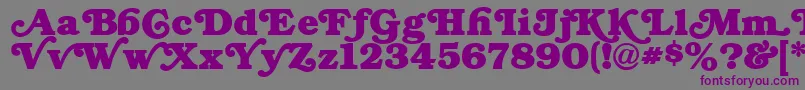 Шрифт SwashNormal – фиолетовые шрифты на сером фоне