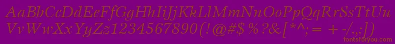 ItcEspritLtBookItalic Font – Brown Fonts on Purple Background