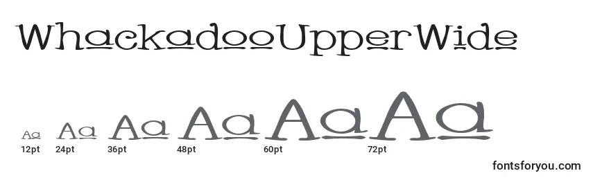 Размеры шрифта WhackadooUpperWide