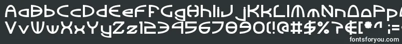 フォントTinkerRoundBold – 黒い背景に白い文字