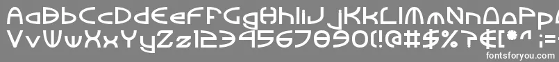 フォントTinkerRoundBold – 灰色の背景に白い文字