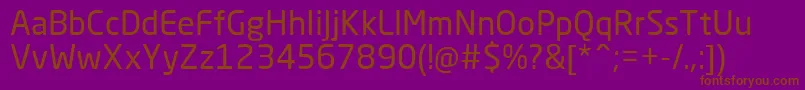 NeoSansCyrRegular Font – Brown Fonts on Purple Background