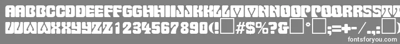 PinocchioRegularDb Font – White Fonts on Gray Background