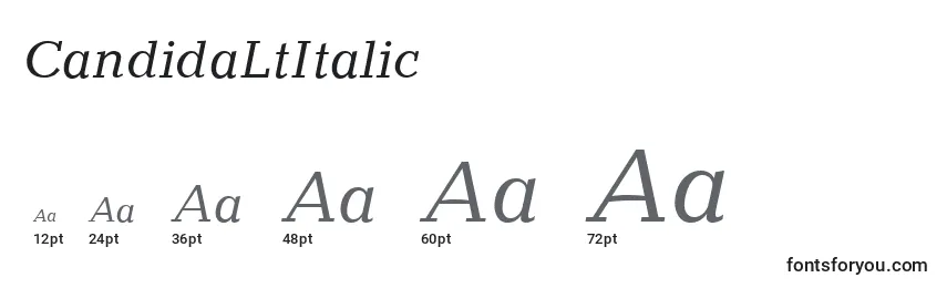 sizes of candidaltitalic font, candidaltitalic sizes