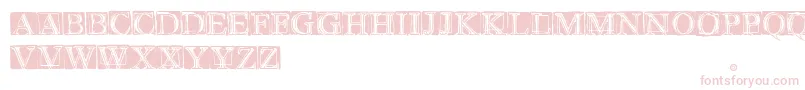 WetPlate Font – Pink Fonts