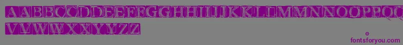 Шрифт WetPlate – фиолетовые шрифты на сером фоне