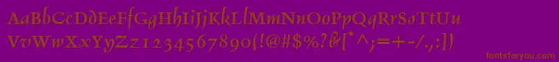 DelphinLtIi Font – Brown Fonts on Purple Background