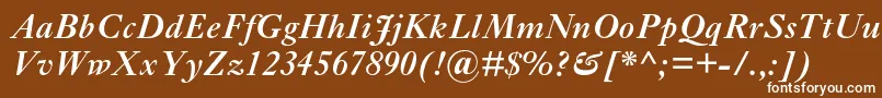 EhrhardtmtstdSemiboldit-Schriftart – Weiße Schriften auf braunem Hintergrund