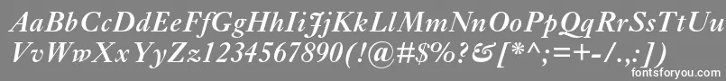 フォントEhrhardtmtstdSemiboldit – 灰色の背景に白い文字
