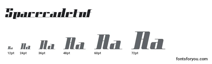 Spacecadetnf (116026) Font Sizes