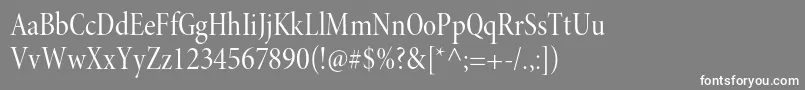MinionproCndisp-Schriftart – Weiße Schriften auf grauem Hintergrund