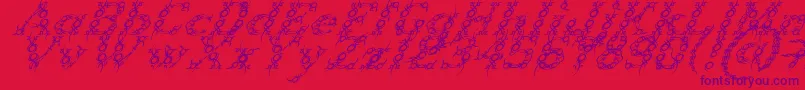 Czcionka TribouItalic – fioletowe czcionki na czerwonym tle