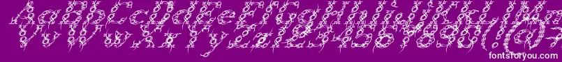 Шрифт TribouItalic – белые шрифты на фиолетовом фоне