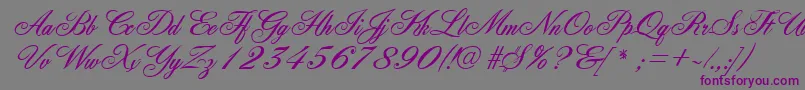 FleurishscriptRegular Font – Purple Fonts on Gray Background